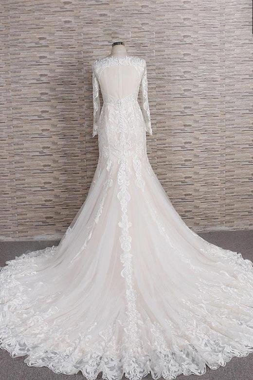 Gorgeous Long-Sleeved V-neck Gown with Lace Appliques