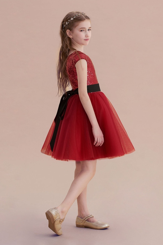 A-Line Cap Sleeve Sequins Tulle Dress, Flower Girl Special