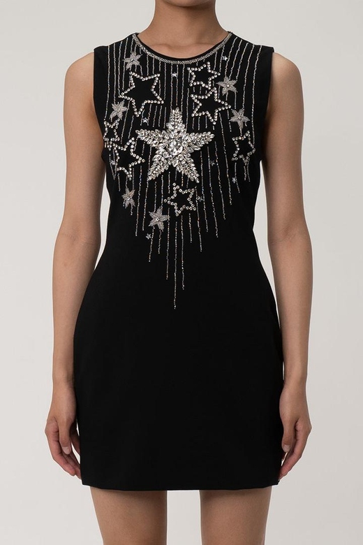 Sparkly Rhinestone Star Embroidered Sleeveless Bodycon Mini Dress