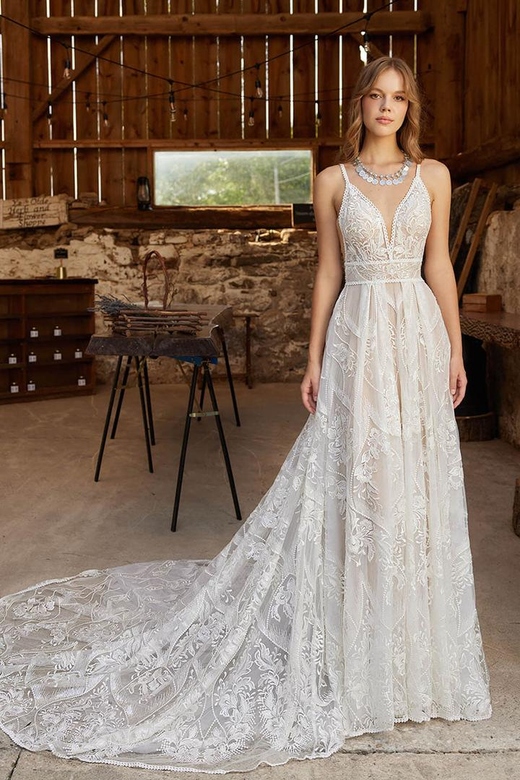 Boho Two-Piece Low V-Neck Sheer Lace Tulle Wedding Gown