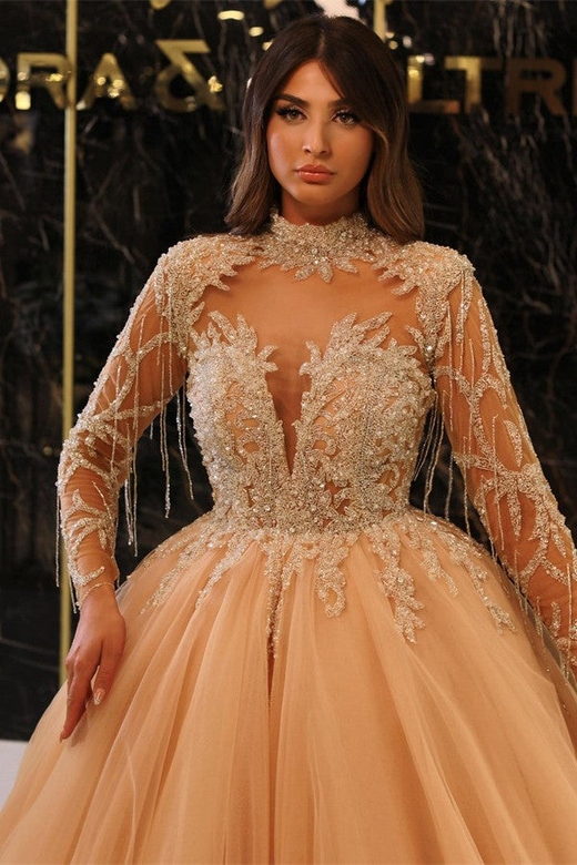 Long Sleeves Ball Gown Tulle Appliques Prom Dress