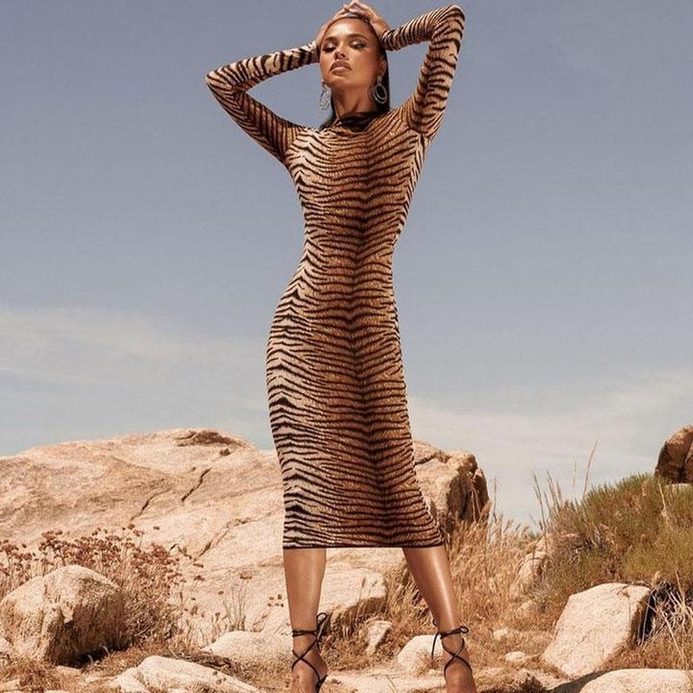 Trendy Animal Print High Neck Long Sleeve Midi Dress in Tiger for Wild Elegance