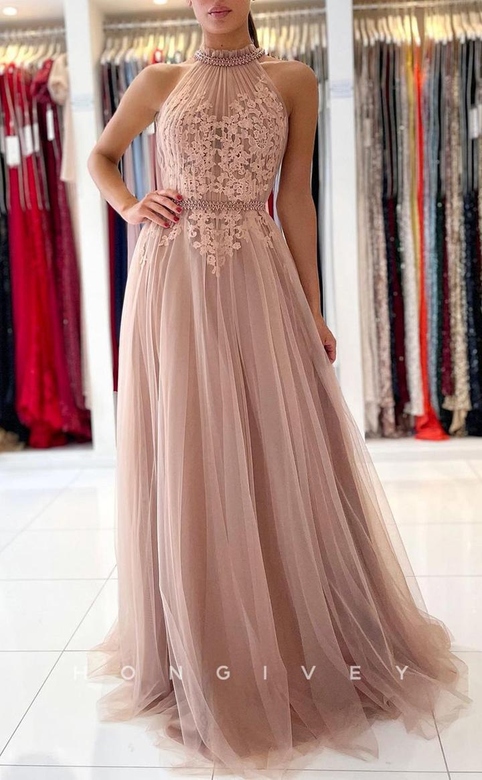 Sexy Tulle A-Line High Neck Sleeveless Appliques Train Gown