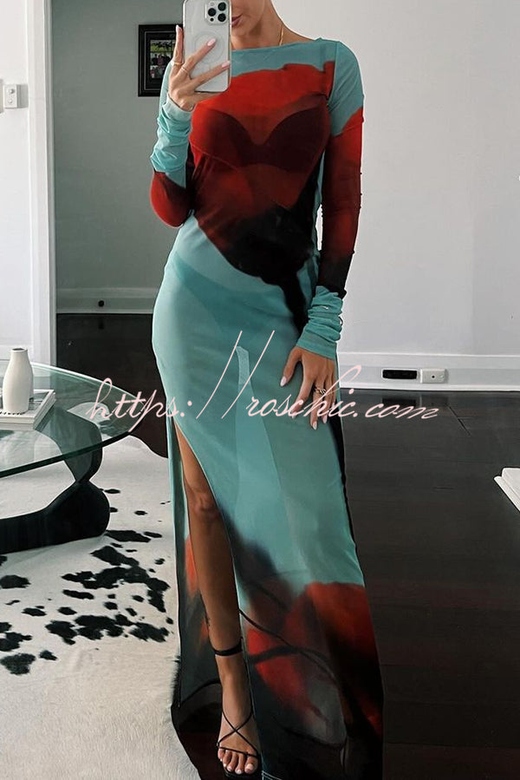 Mesh Floral Round Neck Long Sleeve Maxi