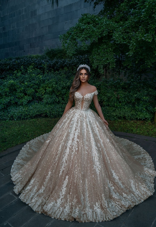 Off-Shoulder Long Tulle Wedding Dress with Appliques