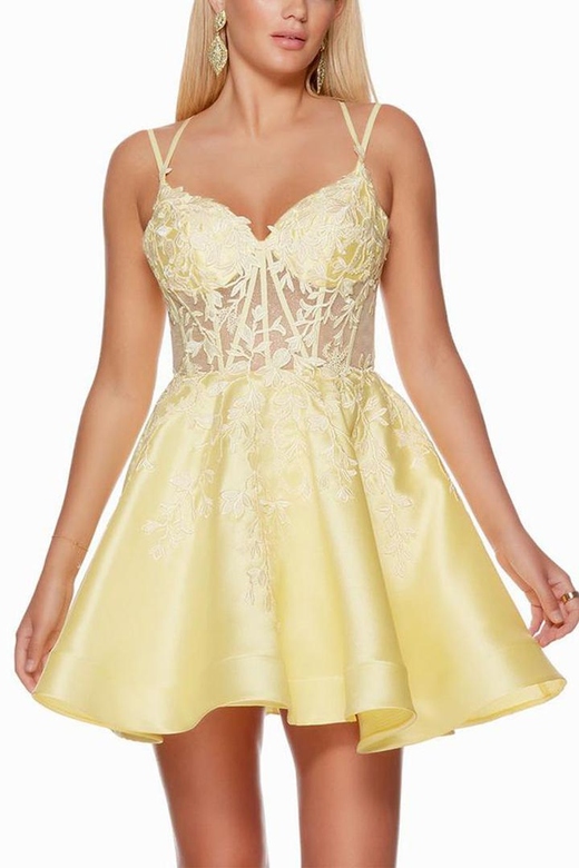 V-Neck Lace Appliqued Sheer Tulle A-Line Mini Homecoming Gown