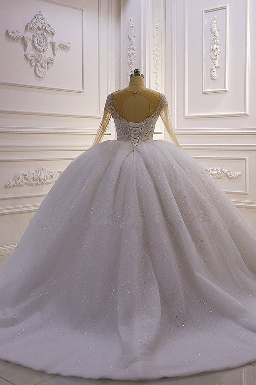 Sparkly Ball Gown Tulle Wedding Dress with Long Sleeves