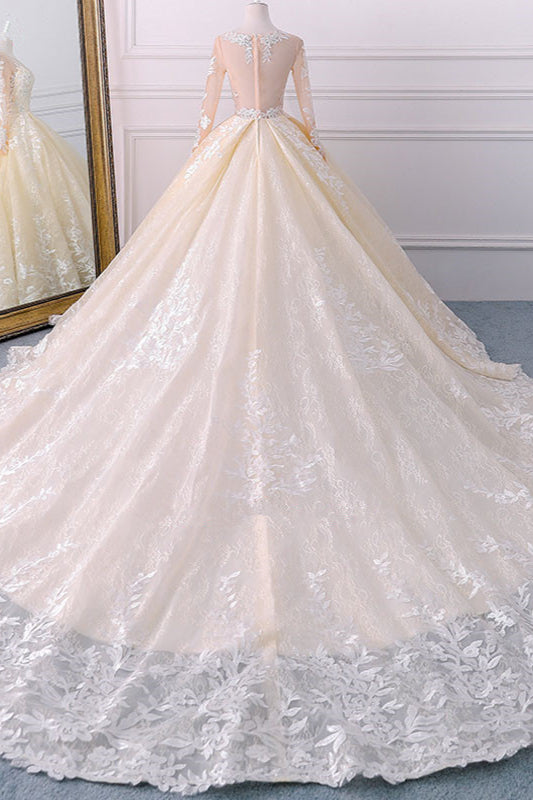 Gorgeous Jewel Champagne Tulle Lace Wedding Dress, Long Sleeves